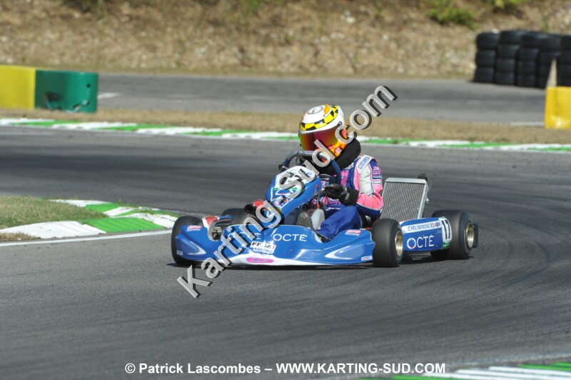 DSC_ (1127).JPG